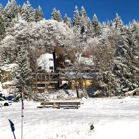 Am * Feldberg (Baden-Wurttemberg)