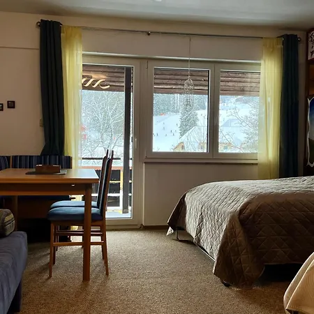 An Den Skipisten Feldberg (Baden-Wurttemberg)