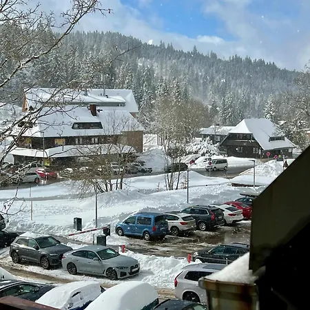 Am * Feldberg (Baden-Wurttemberg)