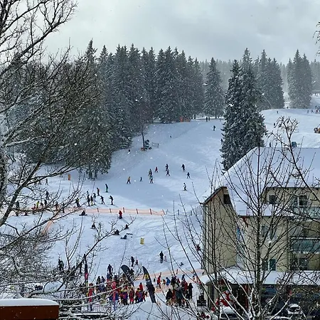 Am * Feldberg (Baden-Wurttemberg)