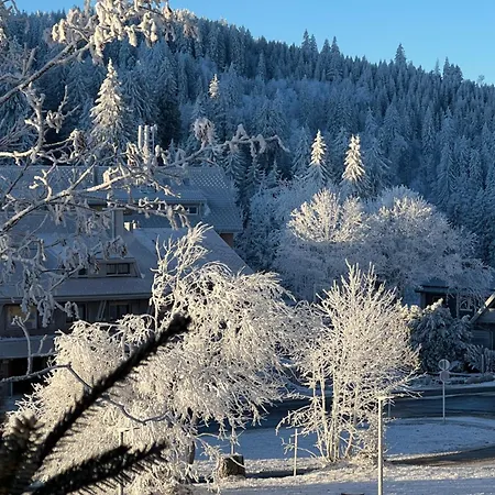 Apartamento Am Feldberg (Baden-Wurttemberg)