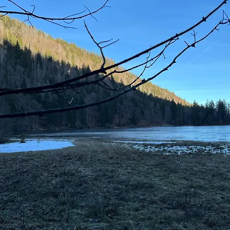 Am Apartamento Feldberg (Baden-Wurttemberg)