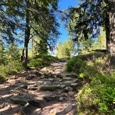 Am Apartamento Feldberg (Baden-Wurttemberg)