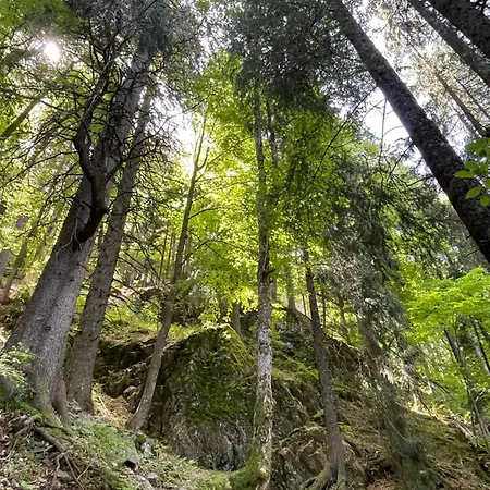 Am Apartamento Feldberg (Baden-Wurttemberg)