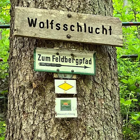 Am Feldberg (Baden-Wurttemberg)