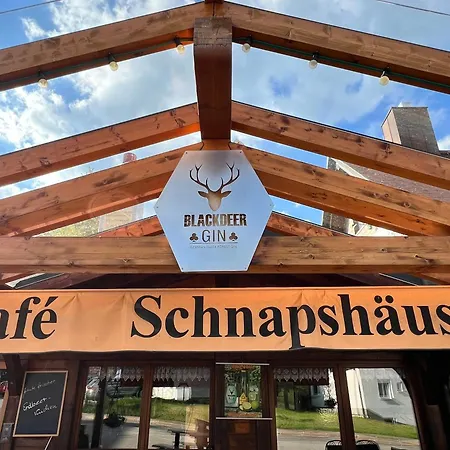 Apartamento Am Feldberg (Baden-Wurttemberg)