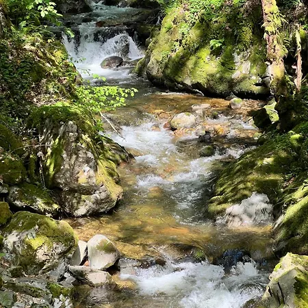 Am Feldberg (Baden-Wurttemberg)