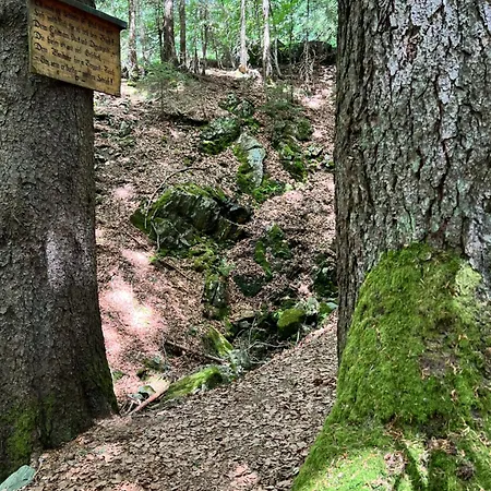 Am Apartamento Feldberg (Baden-Wurttemberg)