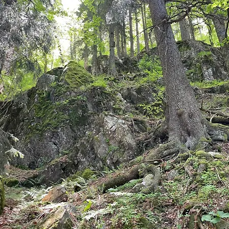 Am * Feldberg (Baden-Wurttemberg)
