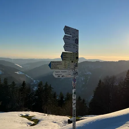 Am * Feldberg (Baden-Wurttemberg)